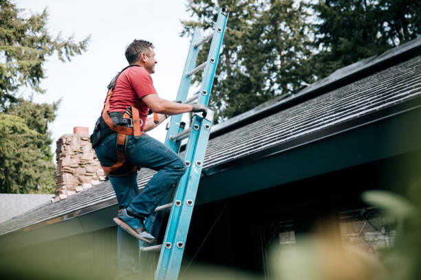 Best Roof Moss and Algae Removal  in Holly Springs, NC