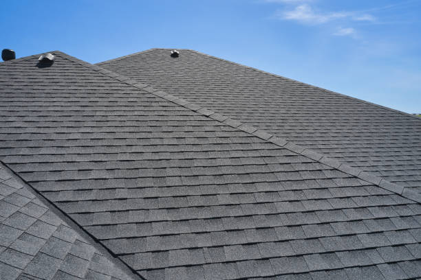 Best Roof Maintenance and Cleaning  in Holly Springs, NC